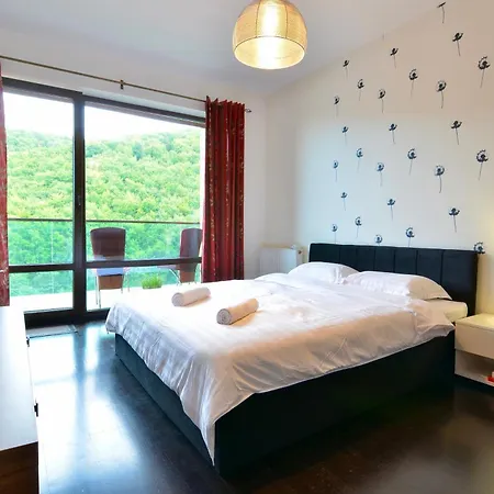 Comfort Tampa * Braşov